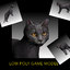 Cat low poly